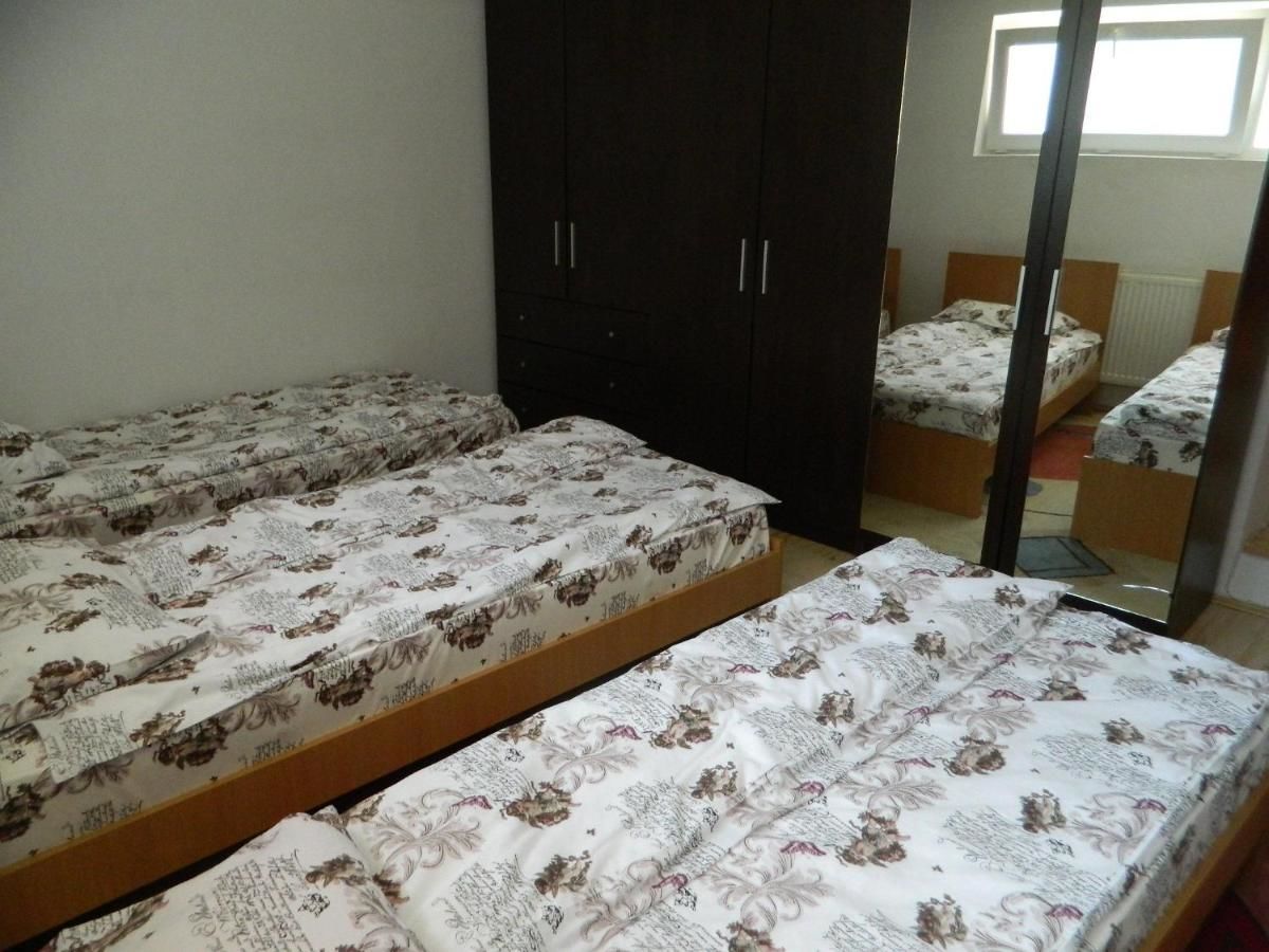 Гостевой дом Cazare Vio Клуж-Напока-19