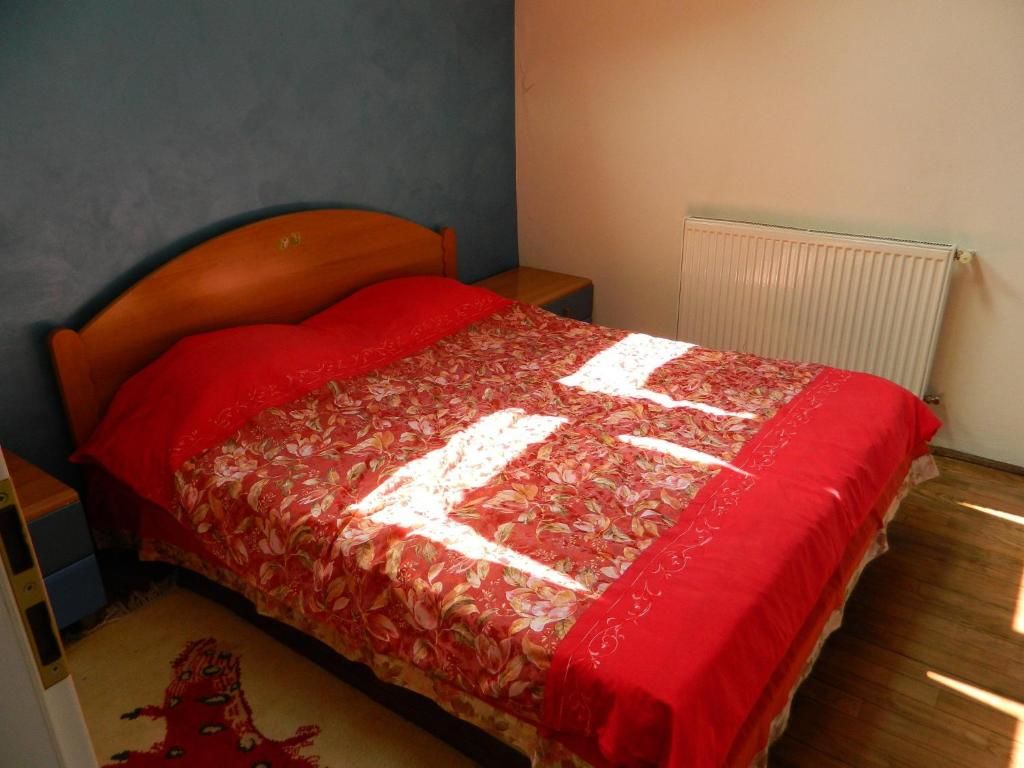 Гостевой дом Cazare Vio Клуж-Напока-25