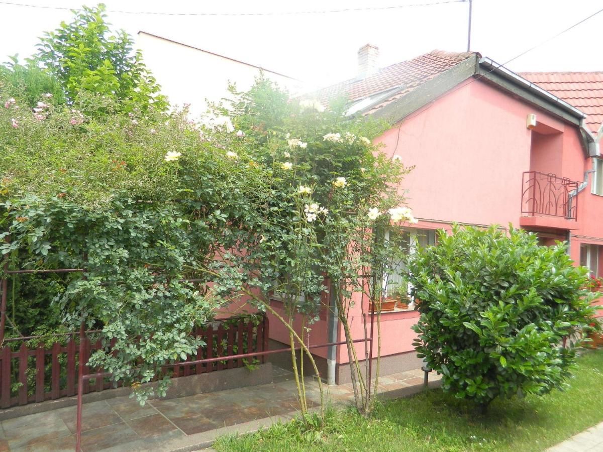 Гостевой дом Cazare Vio Клуж-Напока-7