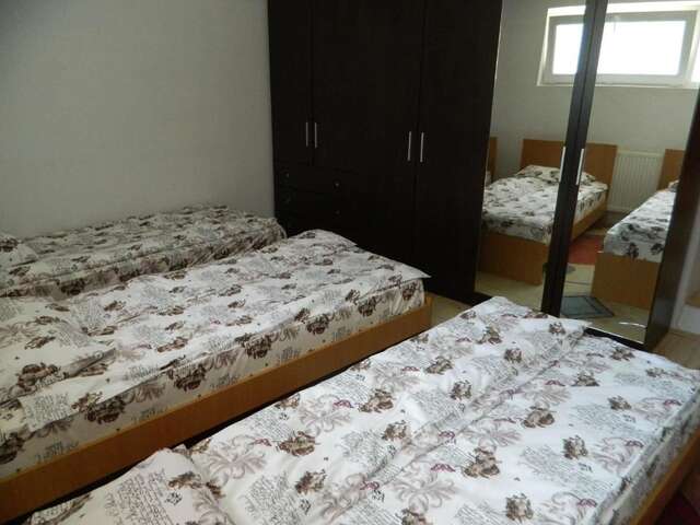 Гостевой дом Cazare Vio Клуж-Напока-18