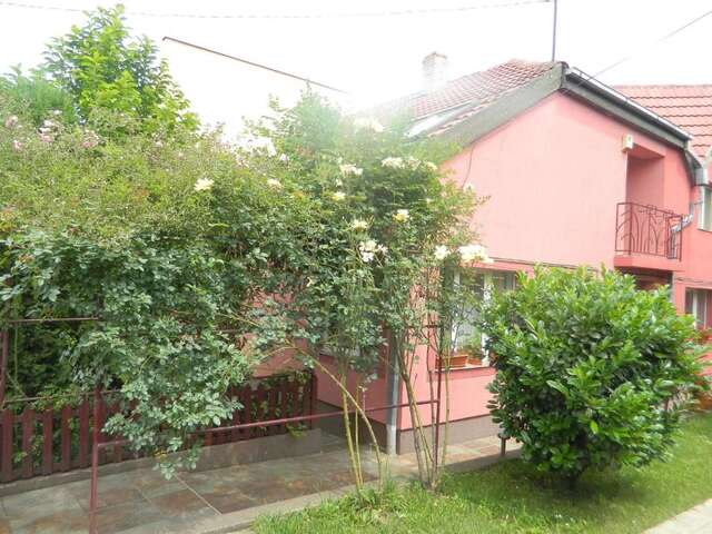 Гостевой дом Cazare Vio Клуж-Напока-6